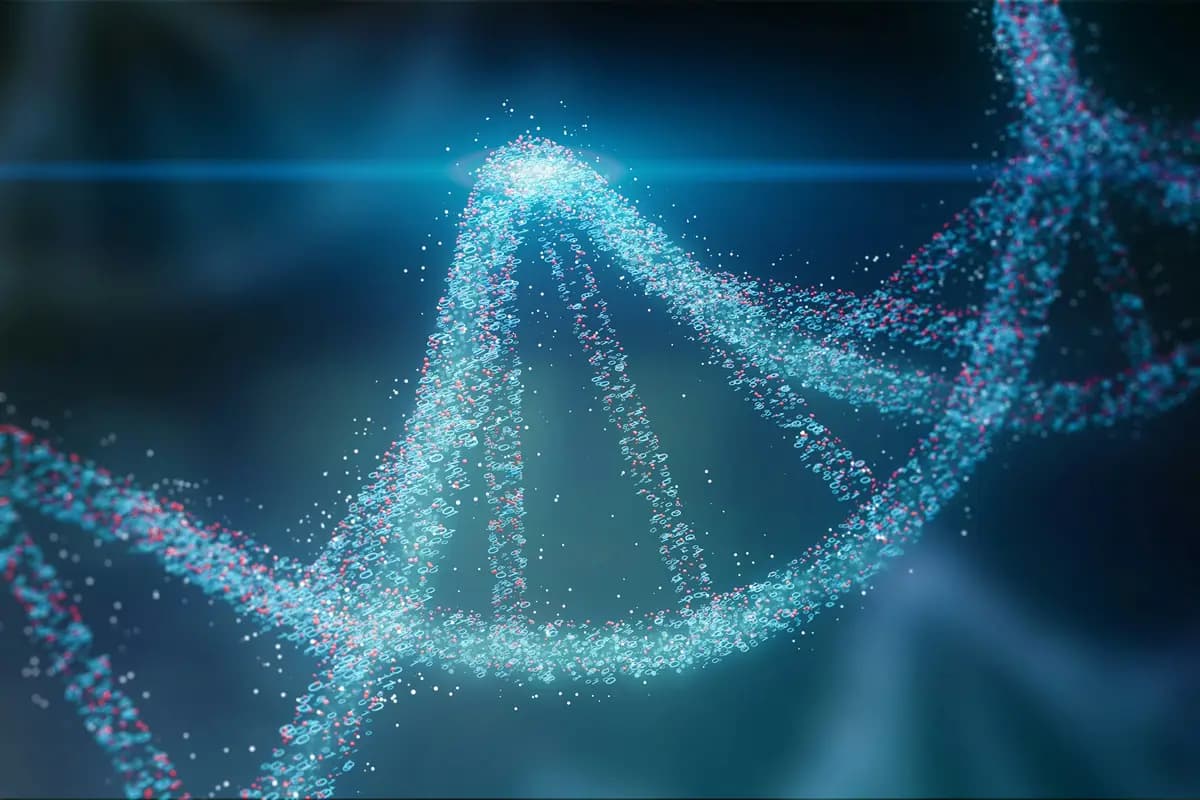 Life Sciences